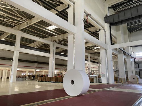 探访中国造纸工厂 除原料短缺,产业绿色转型亟需技术突破