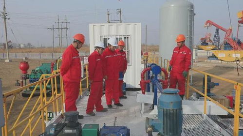 外媒报道丨孤岛厂侧钻 技术 管理 升级盘活资产